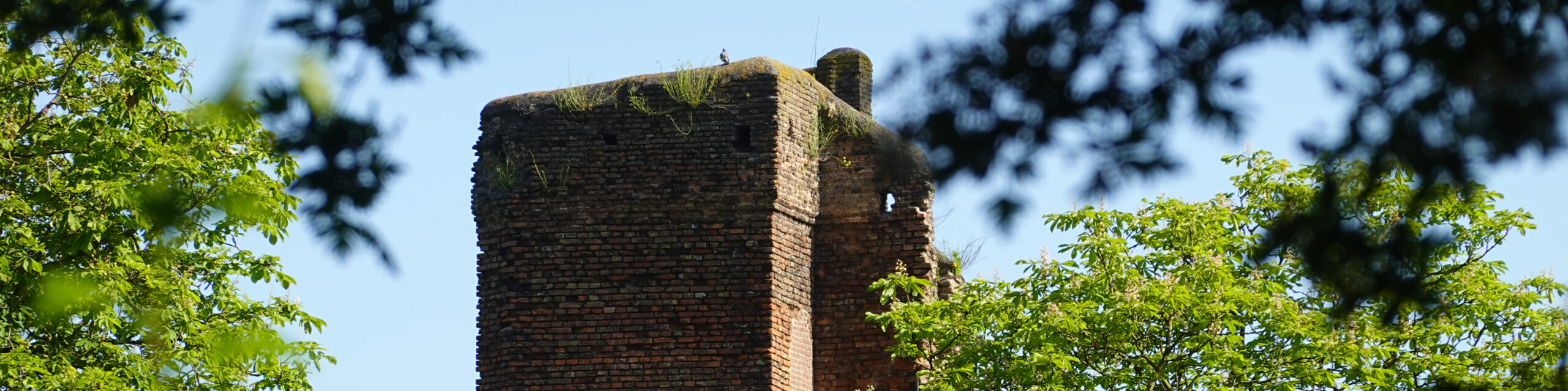 Huis te Merwede vanaf Heer Daniëlspad - mei 2025 - foto Nieky Klaus